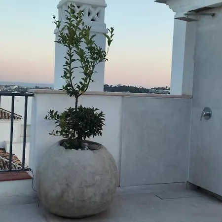 3 Bedroom Duplex Penthouse With Stunning Rooftop Solarium And Views Apartment